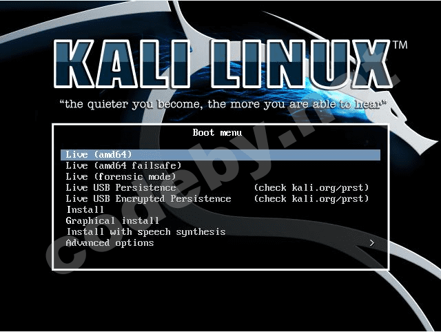 Kali linux на флешку