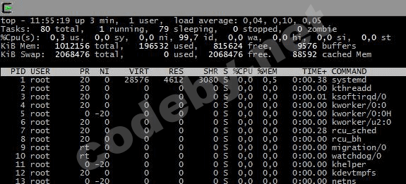 Стресс-тест сети: DoS с использованием hping3 и спуфингом IP в Kali Linux