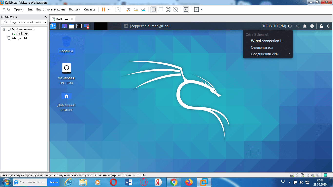 Kali linux адаптеры