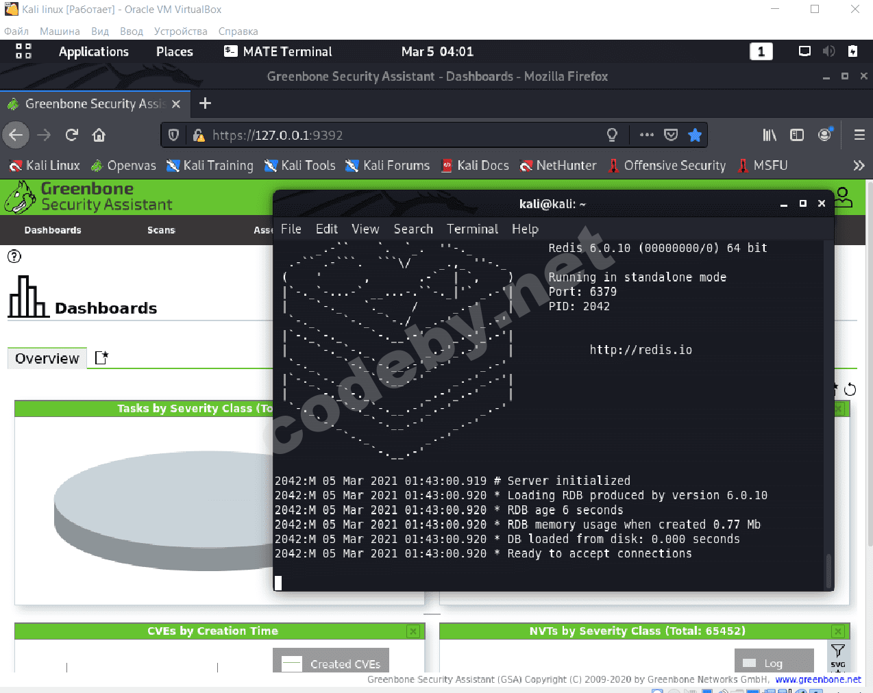 Статья - Установка openvas на Kali Linux | Форум информационной  безопасности - Codeby.net