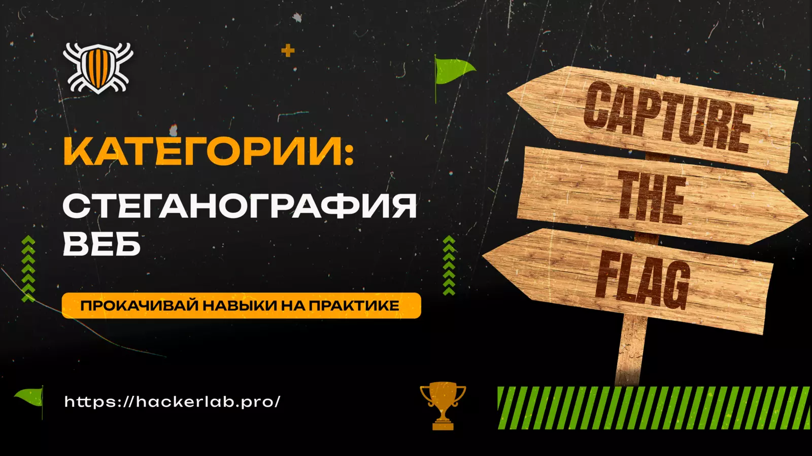 1748682066383.webp