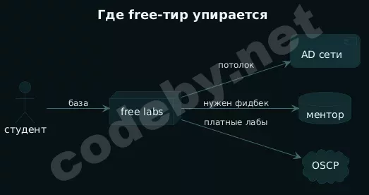 1777366749963.webp