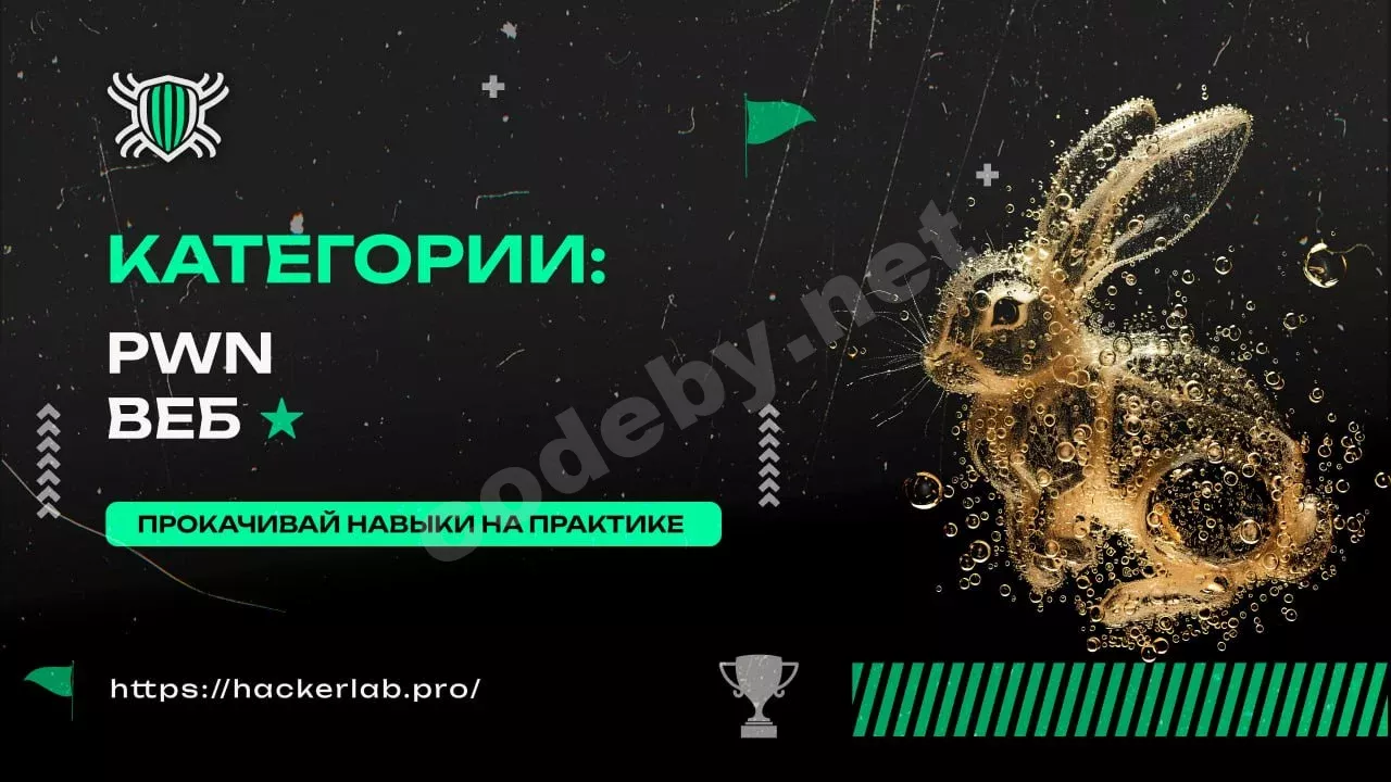 1781368097019.webp