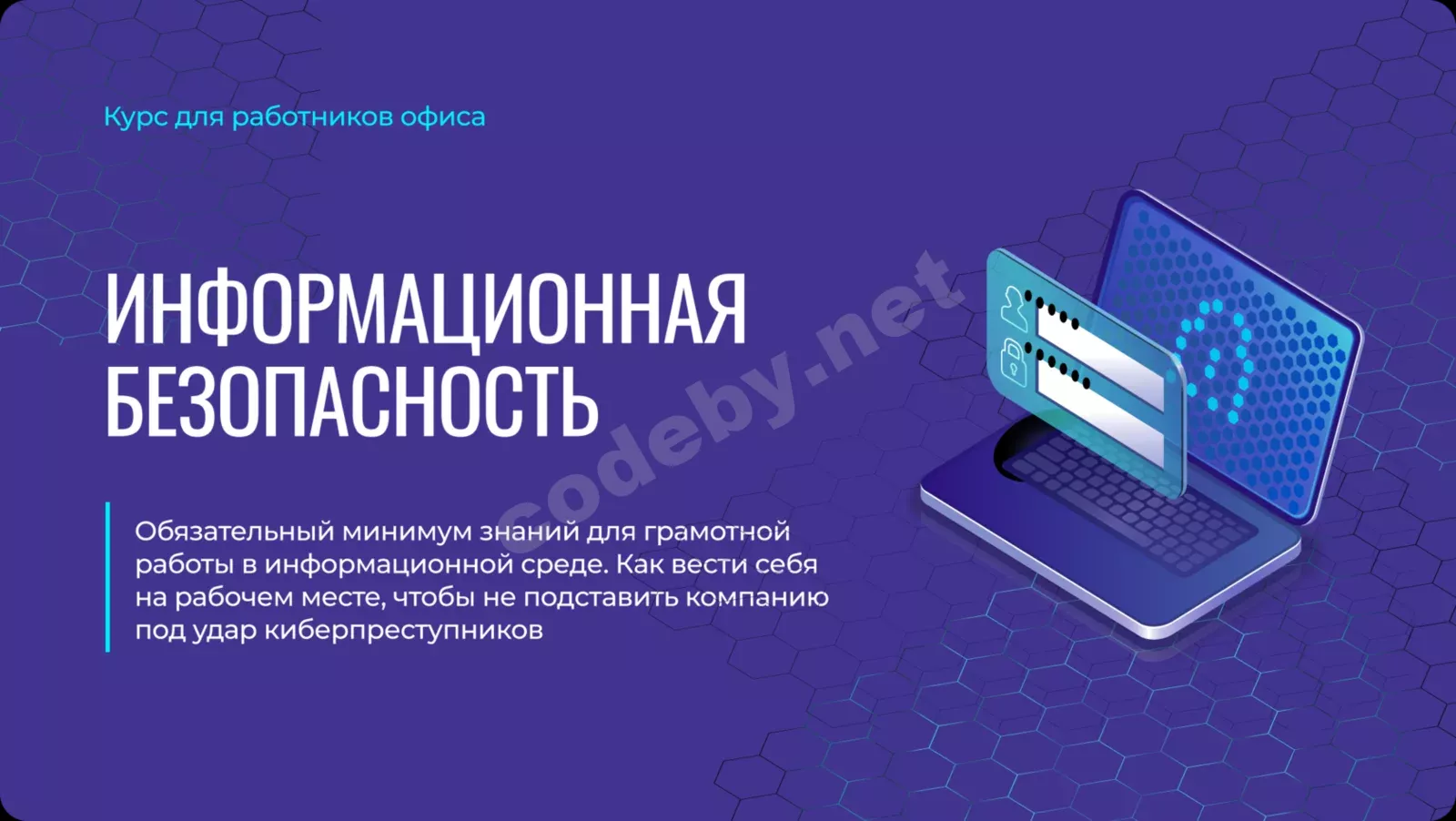 1786431421482.webp
