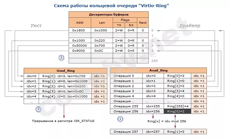 Монитор с ассемблерным кодом драйвера Virtio-Net на fasm и дампом очереди VirtQueue в отладчике QEMU