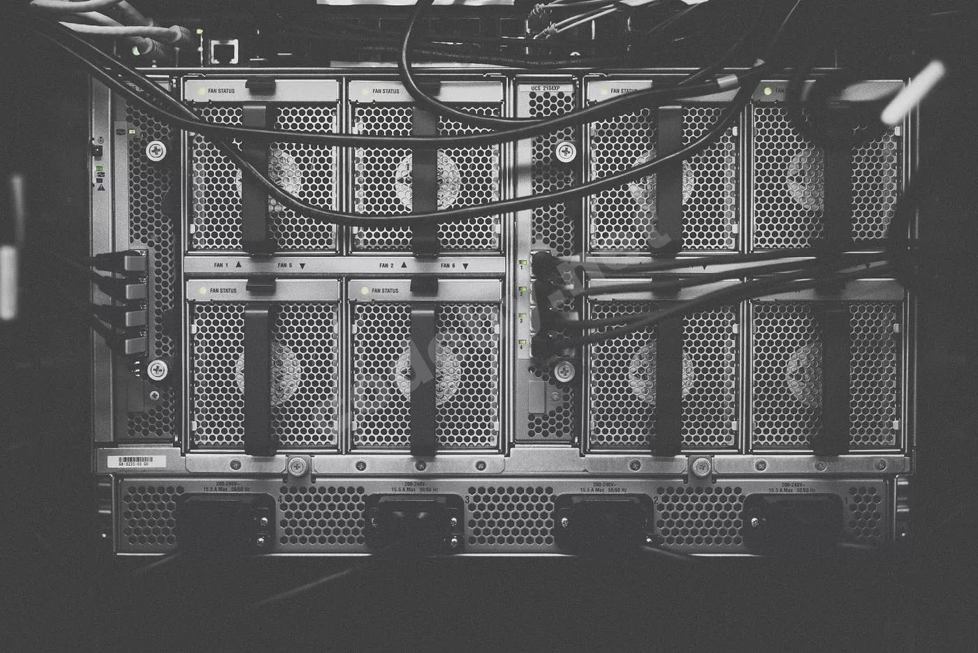 1791906253855.webp