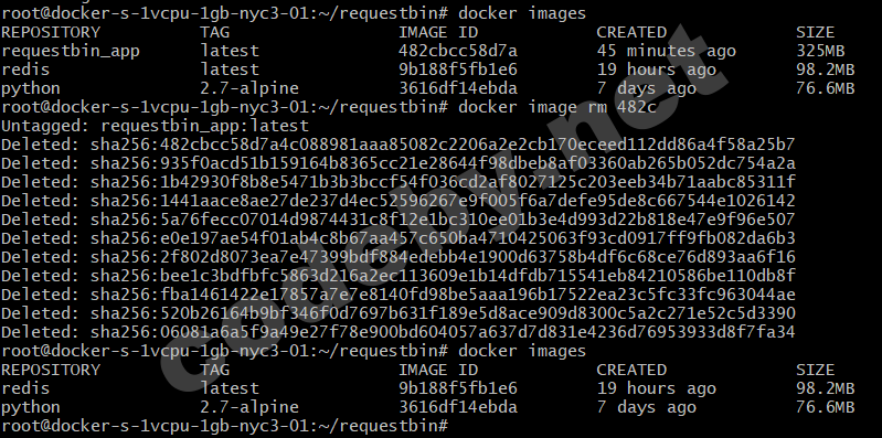 2020-01-03-15_29_59-root@docker-s-1vcpu-1gb-nyc3-01_--_requestbin.png