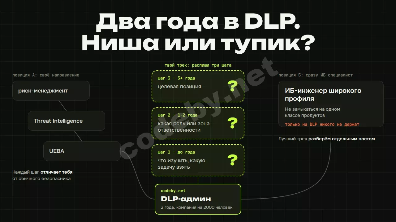 Два года в DLP. Ниша или тупик? Распиши свой трек из трёх шагов