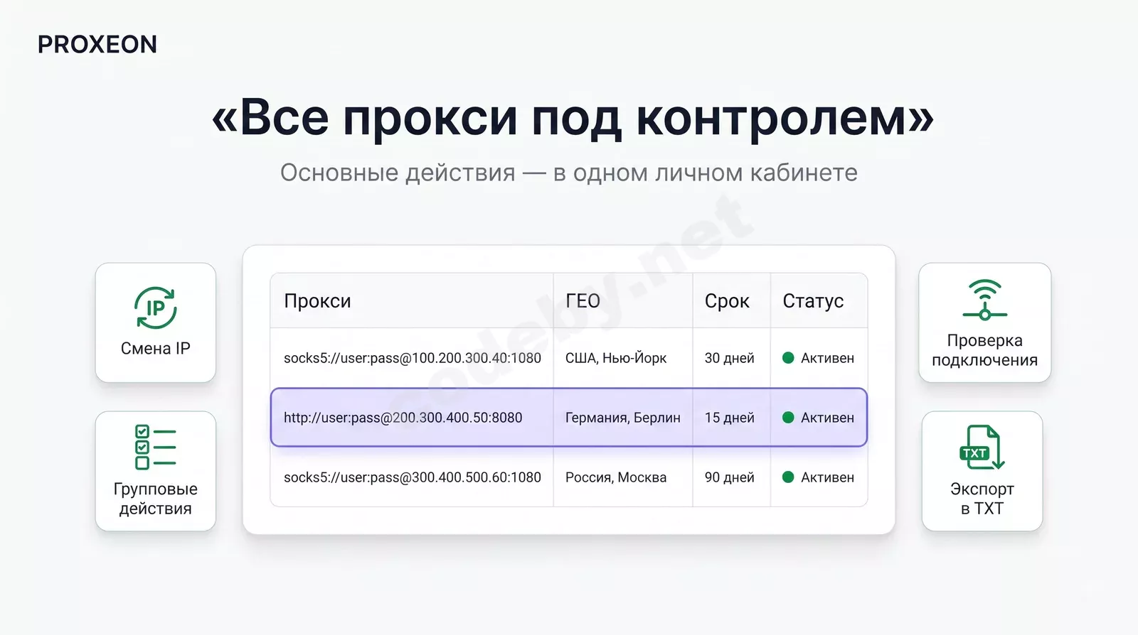 5.webp