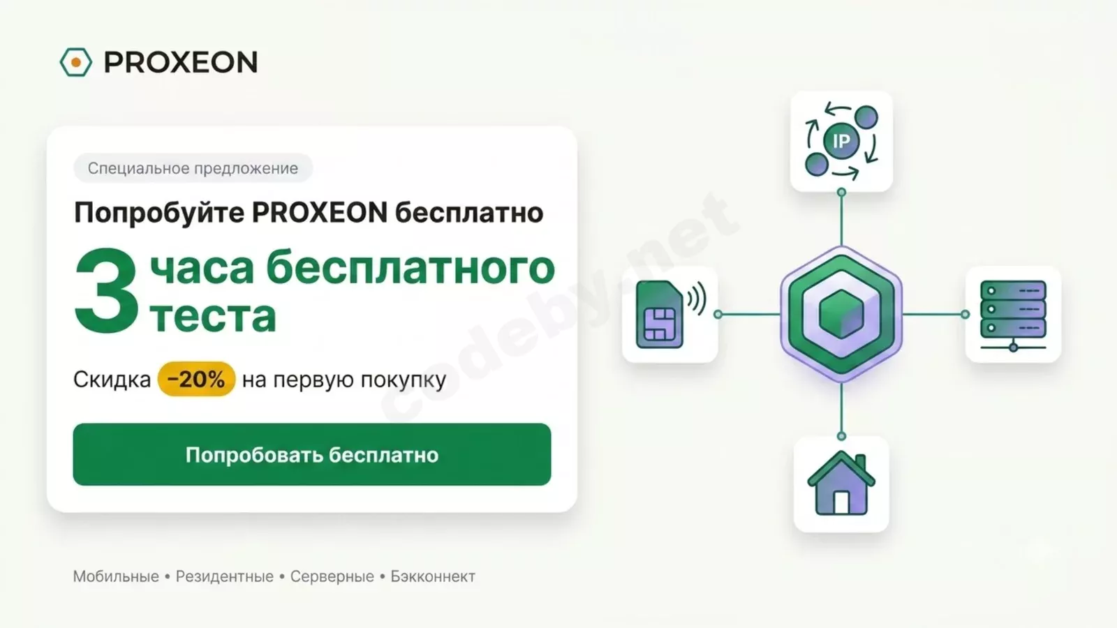 6.webp