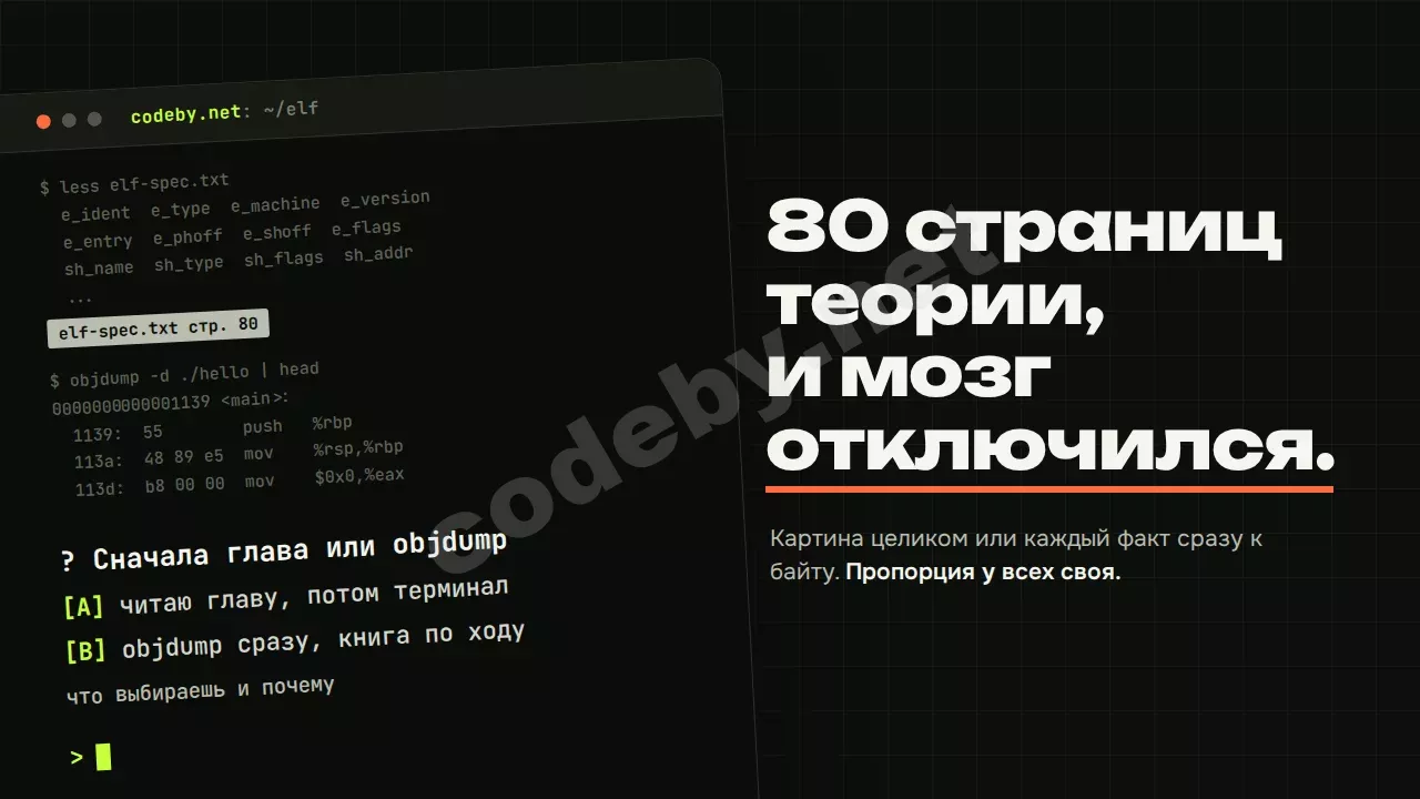 80 страниц теории, и мозг отключился. Сначала глава или сразу objdump?