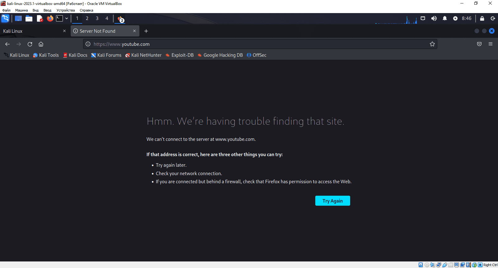 не работает интернет на kali linux virtual box | Форум информационной  безопасности - Codeby.net