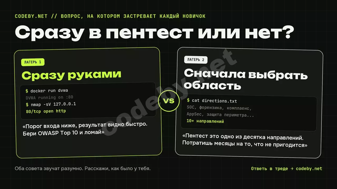 Сразу в пентест или нет? Сразу руками или Сначала выбрать область