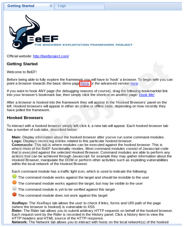 BeEF_2.png