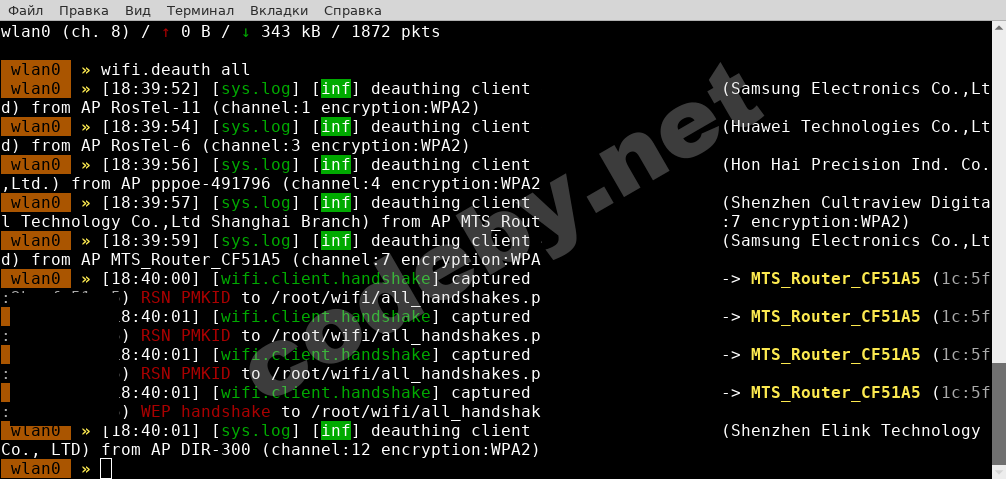 bet-img4.png