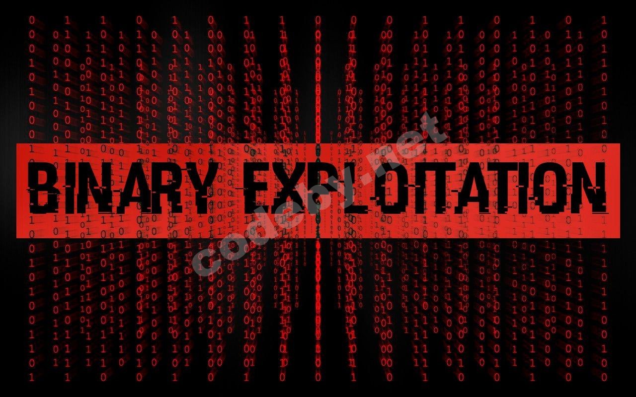 binary_exploitation.jpg