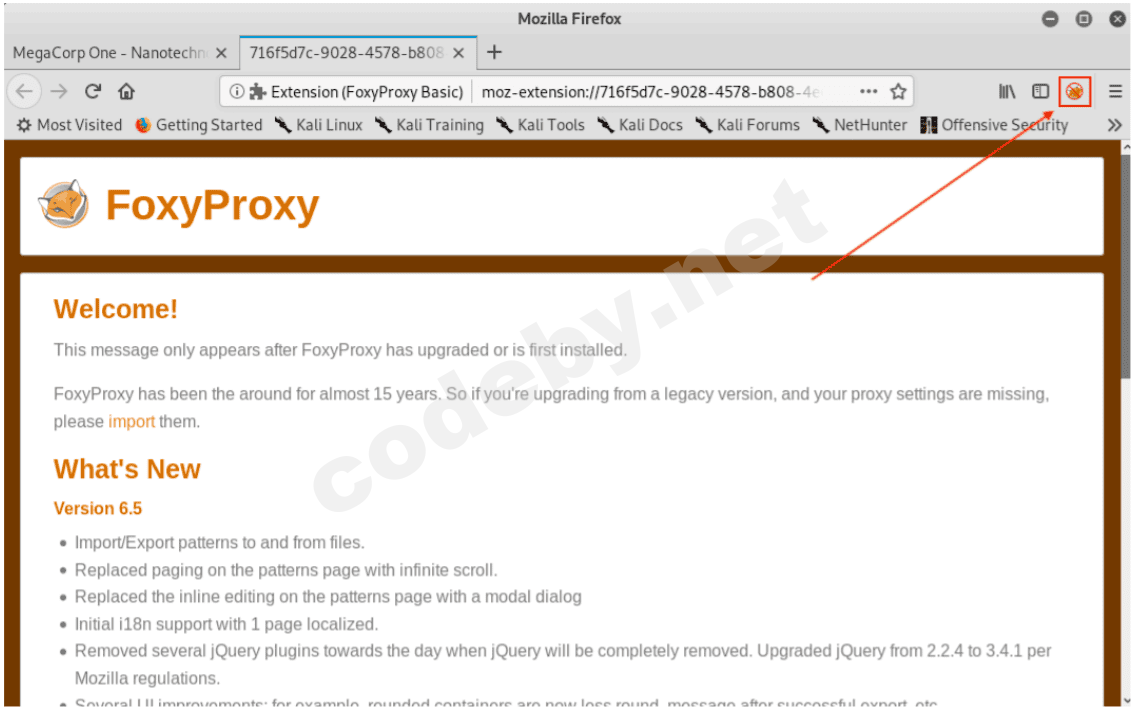 burp_suite_13.png