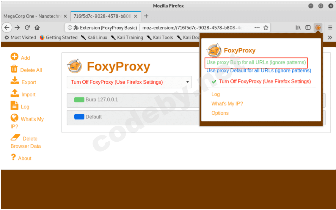 burp_suite_17.png