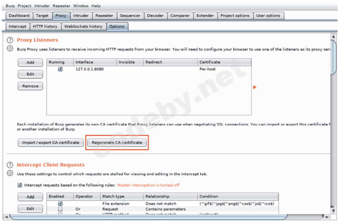 burp_suite_21.png