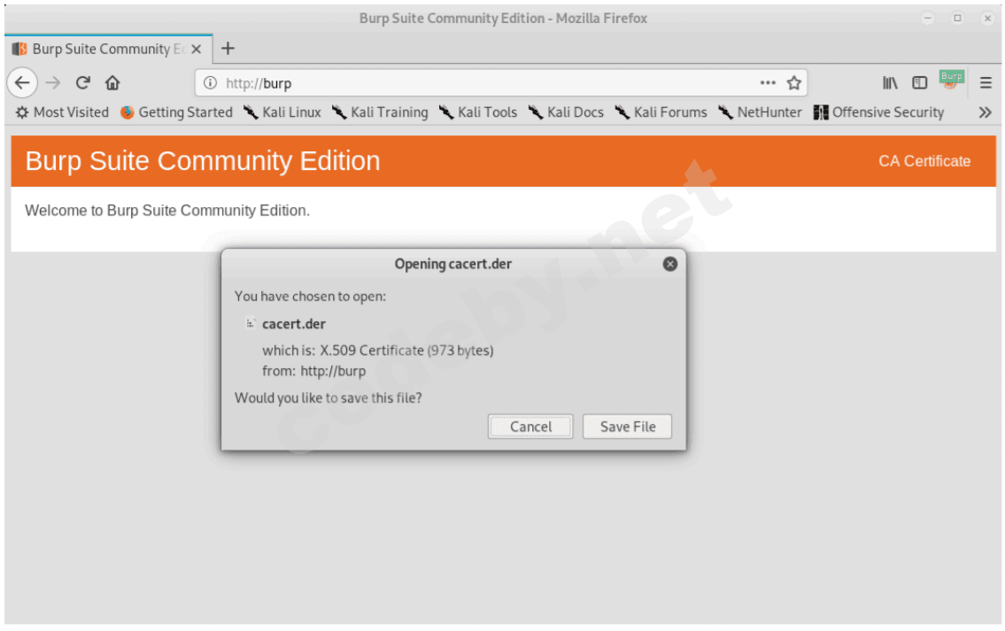 burp_suite_23.png
