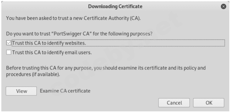burp_suite_24.png