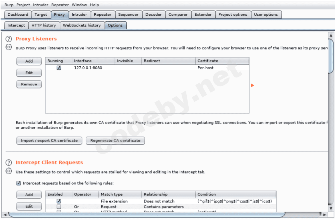 burp_suite_6.png