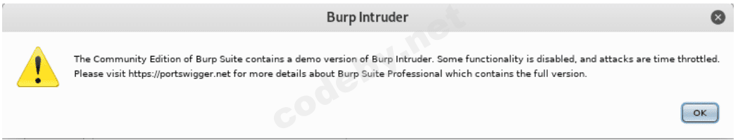 burp_suite_intruder_16.png
