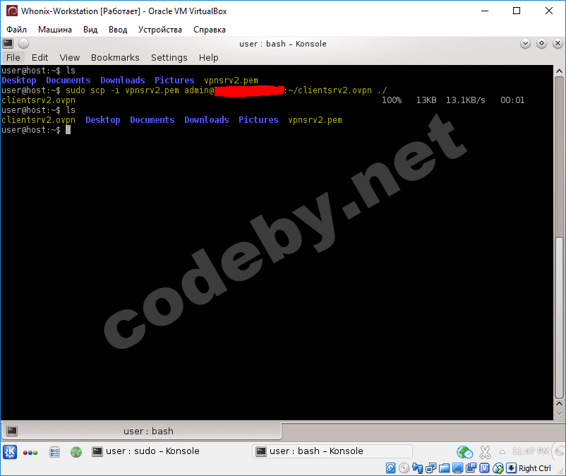 copy vpt to whonix.PNG