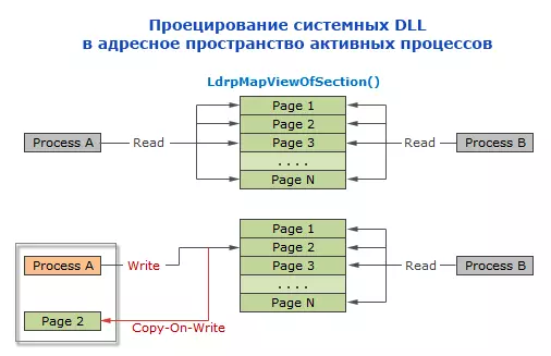 COW.webp