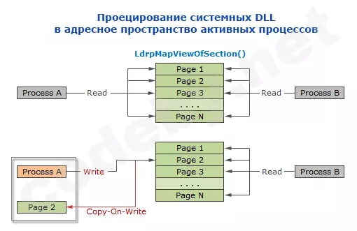 CoW.webp