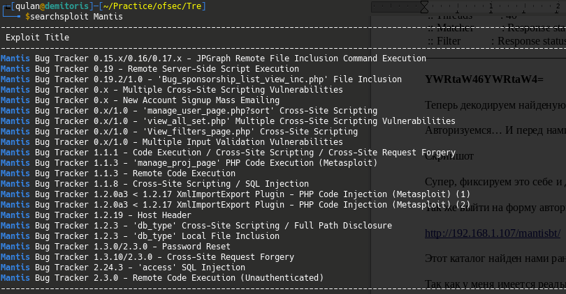exploit_search_mantis.png