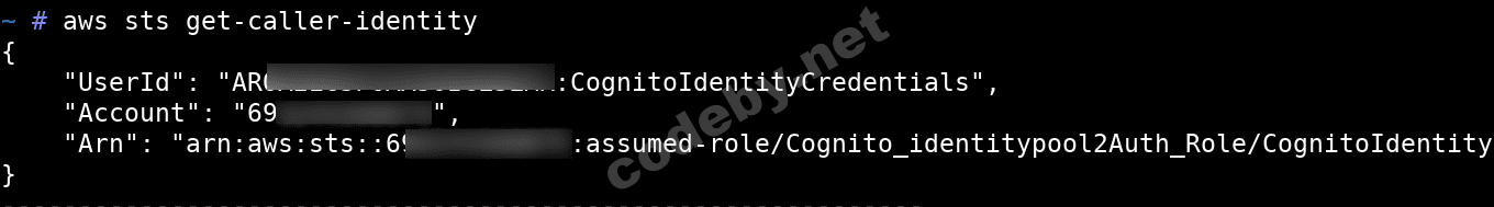 get-caller-identity-2.png