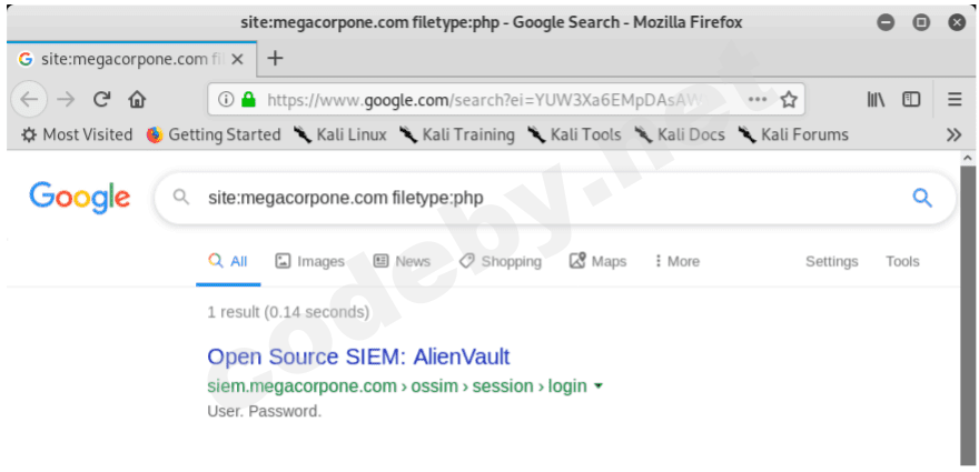google_hacking_2.png