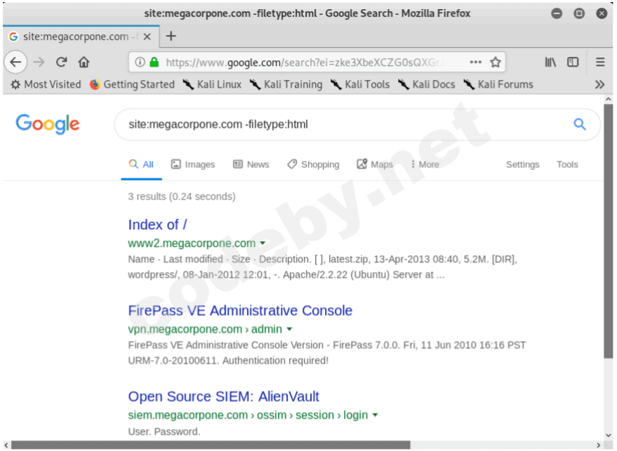 google_hacking_3.png