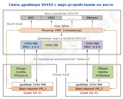 Host_Guest.webp