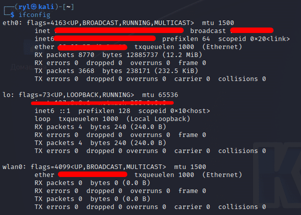 ifconfig.png