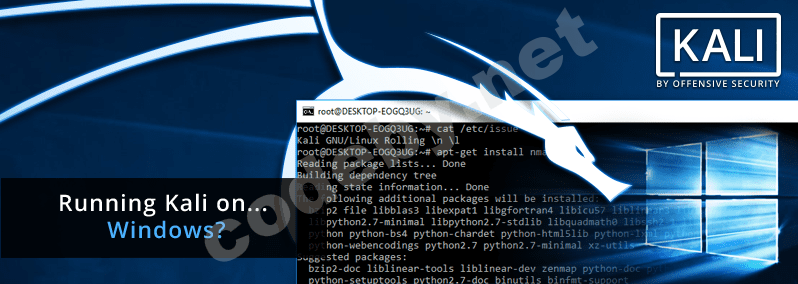 kali-on-windows-10-kali-post.png