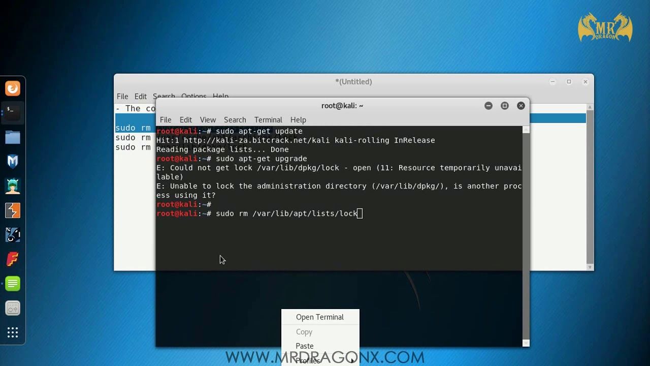 Apt upgrade. Sudo RM -RF. Kali Linux Mr Robot. Linux Mr. Sudo Hack.