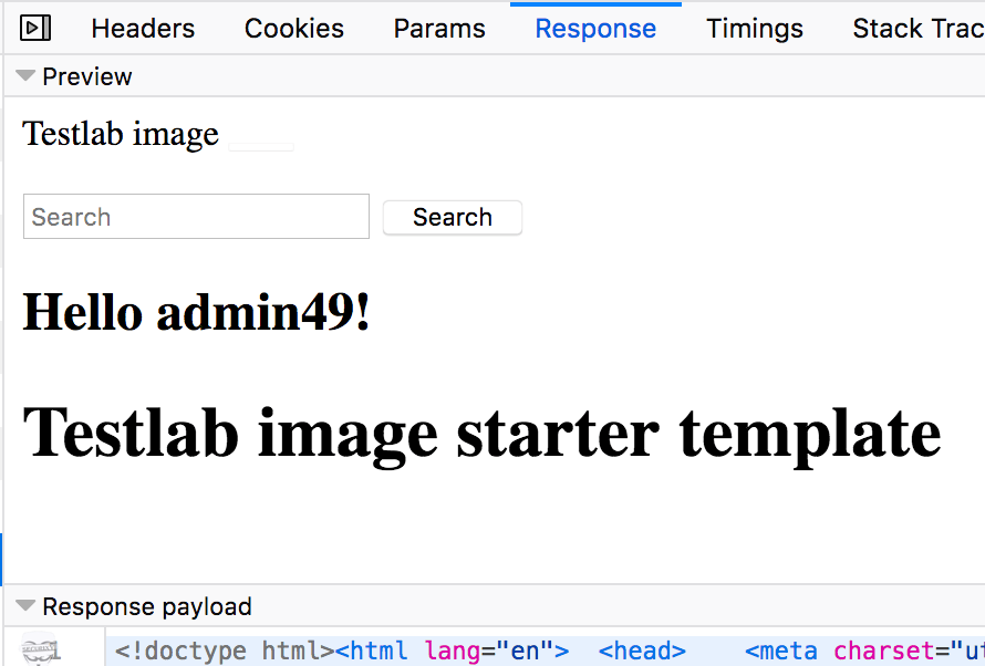 MY-Cookie-XSS.png