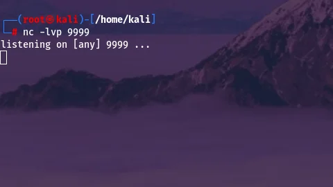 NC1.webp