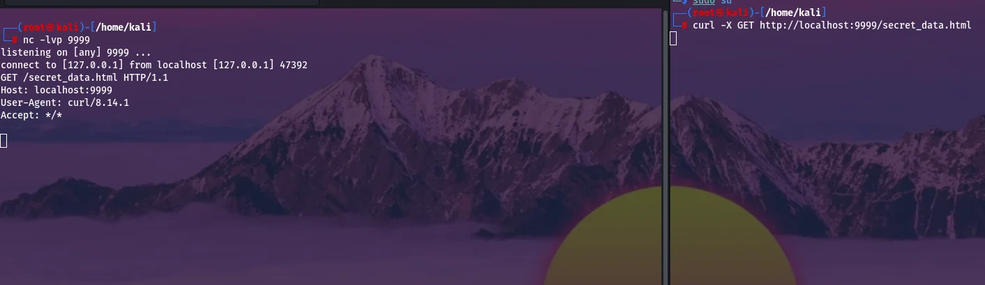 NC2.webp