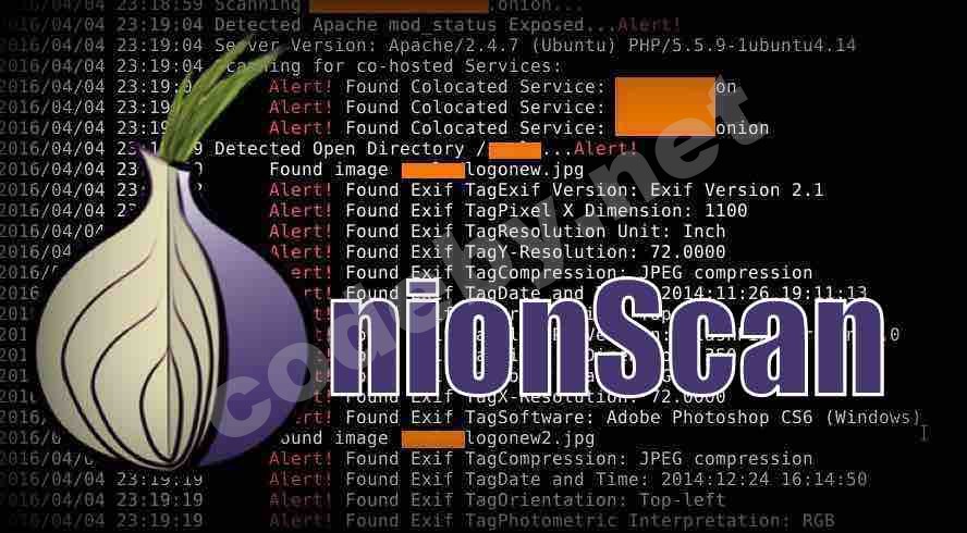 onionscan-tor-1.jpg