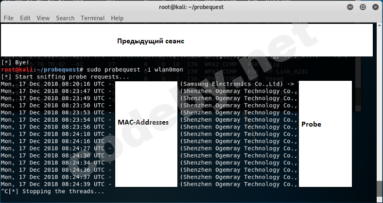 pasted image 0 (29).png