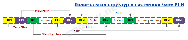 PFN_base.png