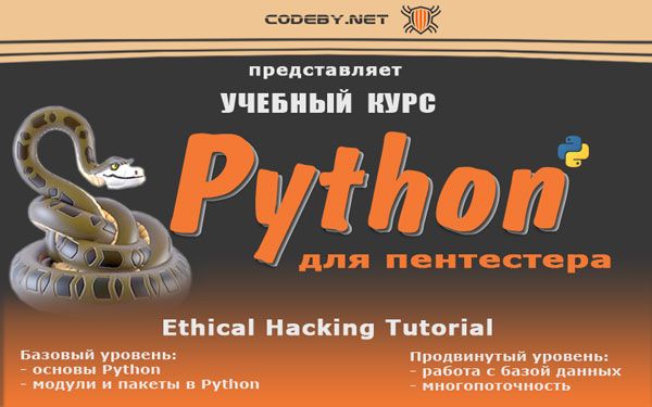 Python_800x500_3.jpg