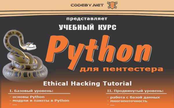 Python_800x500_3.jpg