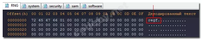 Rng.webp