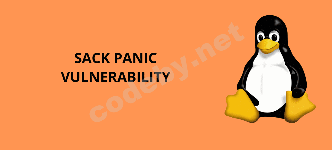 SACK-PANIC-VULNERABILITY-1.png