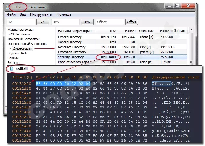 SecurDir.webp